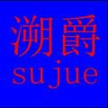 江苏溯爵新材料科技有限公司