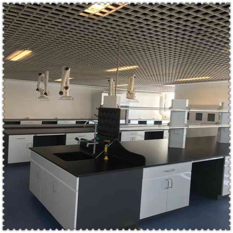广州化工化学实验室家具设计与安装工程  君鸿净化公司本土品牌