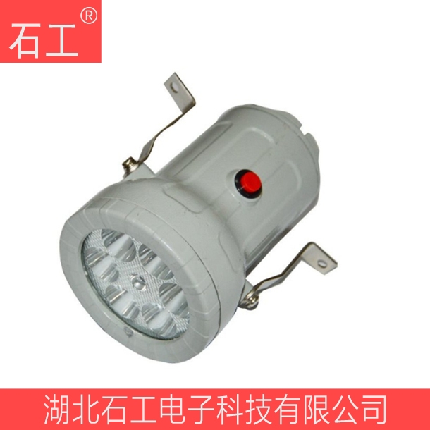 BSD96防爆视孔灯\220V\BSD96-AL\10W\LED