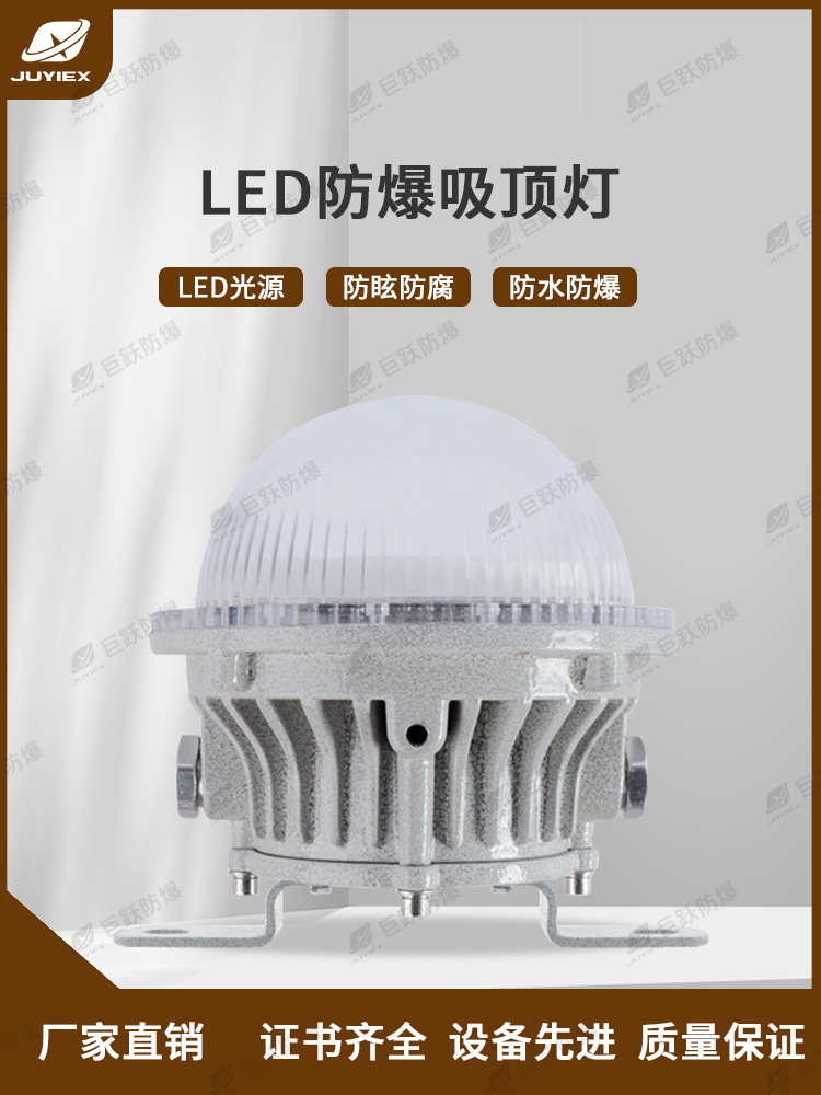 LED免维护防爆吸顶灯 