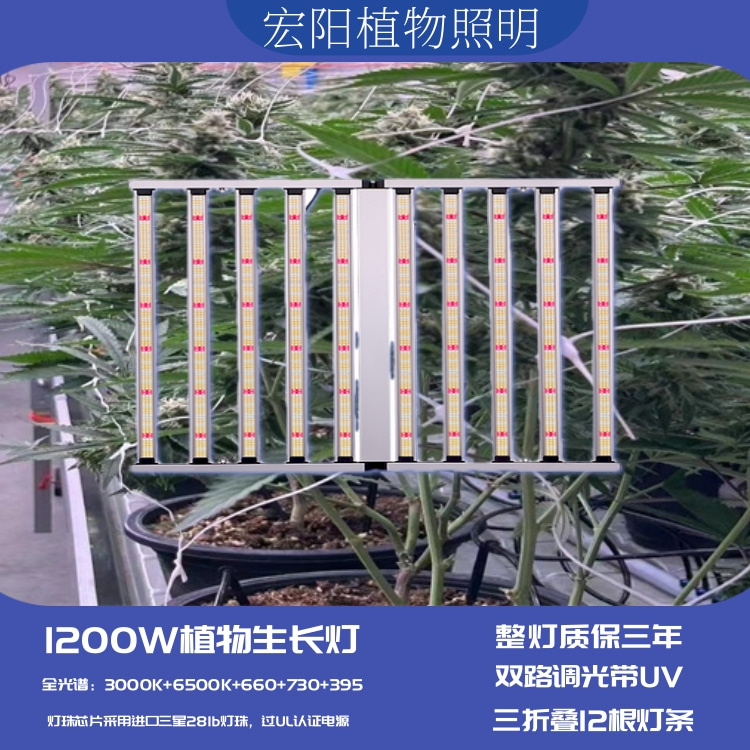 漳州LED植物灯厂家批发美国大棚植物补光灯1000W麻药种植灯