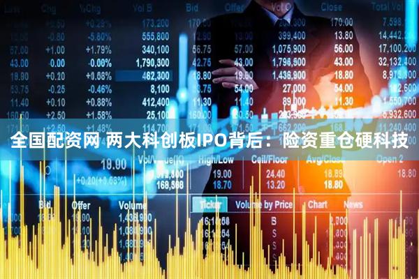 全国配资网 两大科创板IPO背后：险资重仓硬科技